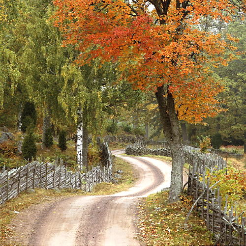 Ostkustleden     Foto: Peter Gerdehag